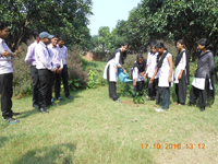 NCTE-V. T Insepection - 02/02/2012